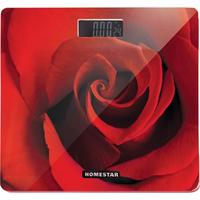 HomeStar HS-6002B